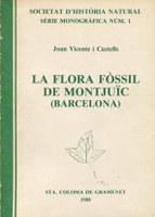 flora-fossil.jpg